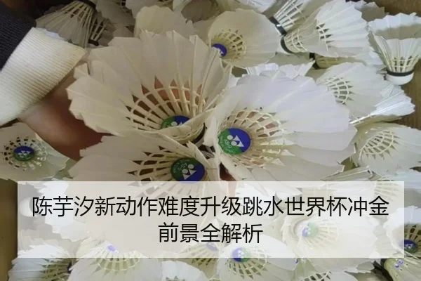 陈芋汐新动作难度升级跳水世界杯冲金前景全解析